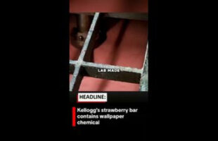 KELLOGG'S STRAWBERRY SOFT-BAKED BREAKFAST BARS [USA] HAVE THE SAME CHEMICAL AS WALLPAPER GLUE❗