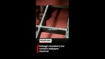 KELLOGG'S STRAWBERRY SOFT-BAKED BREAKFAST BARS [USA] HAVE THE SAME CHEMICAL AS WALLPAPER GLUE❗