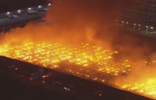 THE MUSLIM WHO FILMED HIMSELF BURNING DOWN 🔥 A WAREHOUSE IS AN ILLEGAL ANCHOR BABY