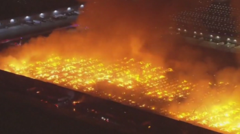 THE MUSLIM WHO FILMED HIMSELF BURNING DOWN 🔥 A WAREHOUSE IS AN ILLEGAL ANCHOR BABY