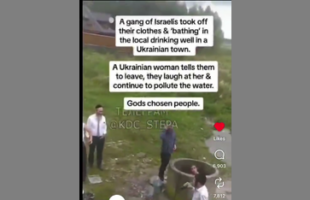 THE WELL POISONERS ☠ WILL POISON WELLS❗