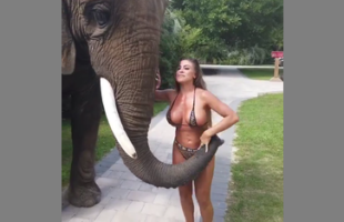 THIRSTY 🐘 ELEPHANT