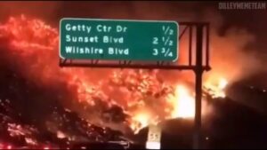 CALIFORNIA SCHEMING❗