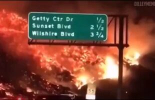 CALIFORNIA SCHEMING❗