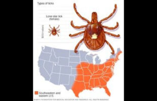 NBC NEWS IS NOW MAKING VIDEOS DEBUNKING THE TICK CONSPIRACY THEORY❗
