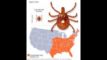 NBC NEWS IS NOW MAKING VIDEOS DEBUNKING THE TICK CONSPIRACY THEORY❗