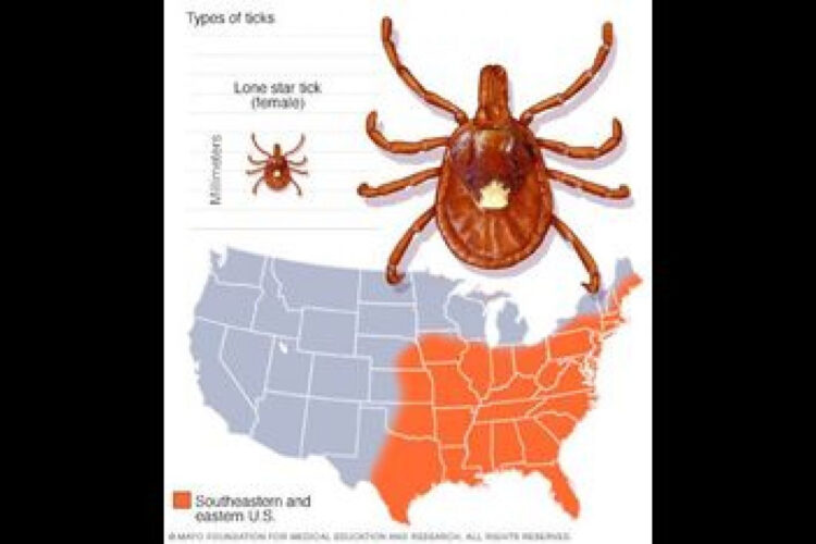 NBC NEWS IS NOW MAKING VIDEOS DEBUNKING THE TICK CONSPIRACY THEORY❗