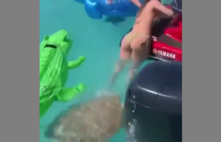 ONE OF THE REASONS WHY 🐢 YOU MUST NOT FEED WILD ANIMALS
