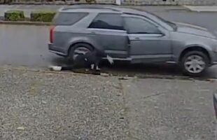 PACKAGE THIEF STRANDED AS GETAWAY CAR SPEEDS OFF WITHOUT HER❗