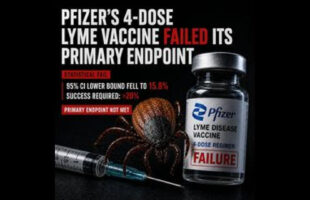PFIZER 4-DOSE LYME DISEASE VACCINE IS COMPLETE GARBAGE ⚕ THE TRIAL FAILED ITS PRIMARY ENDPOINT