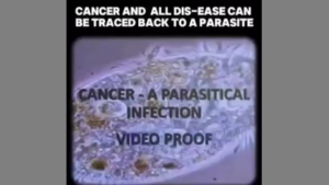 WHAT IF CANCER ISN'T 'CANCER' AT ALL 🪱 BUT PARASITES AND THEIR EGG SACKS❓