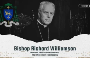 BISHOP RICHARD WILLIAMSON ⛨ SESSION 6 1996 DOCTRINAL SESSIONSː INFLUENCE OF FREEMASONRY