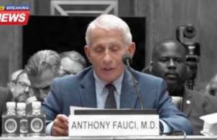 BREAKING NEWSː FAUCI PLEADS THE FIFTH OVER 80 TIMES 🎙 JOHN WARD