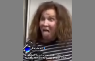 PSYCHOTIC ISRAELI WOMAN FREAKS OUT AT PEOPLE HOLDING A MEMORIAL FOR GAZA'S CHILDREN IN TIMES SQUARE❗