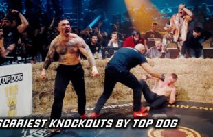 SCARIEST KNOCKOUTS BY TOP DOG 🥊 HIGHLIGHTS BEST FIGHTS 2024